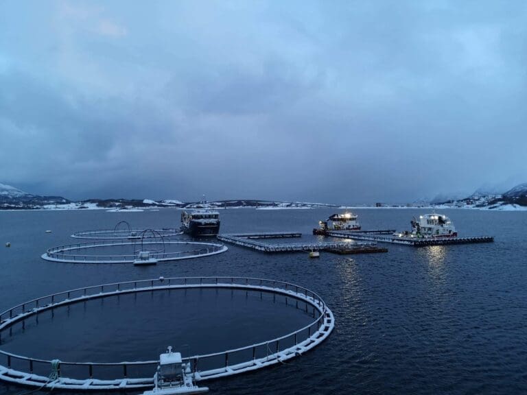 Høyere snittvekter holder biomassen 1,8 prosent over fjoråret