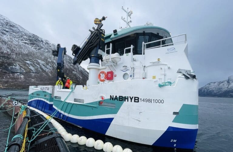 Splitter nye «Håløy Ottar» i kjølvannet av «Smøla Viking» på oppdrag i Grovfjorden