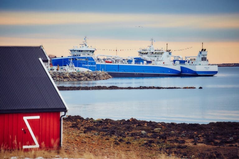 Kraftig smell mellom brønnbåtene “Ro Vision” og “Gåsø Freyja” ved kai på Frøya
