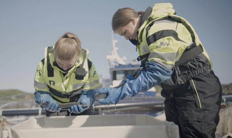 Havbruksnæringen trenger et bedre beslutningsgrunnlag for valg av forebyggingsmetode og behandling av lus