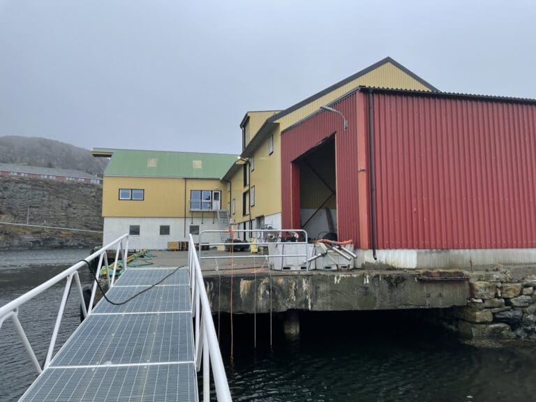 Rekordpriser løftet Refsnes Laks