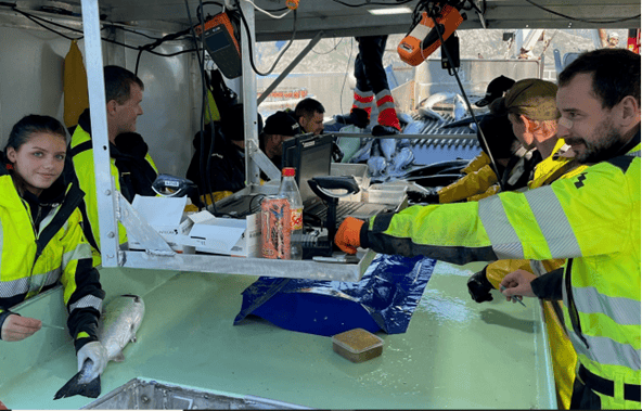 En av markedets eldste båter håndterer næringens mest verdifulle fisk