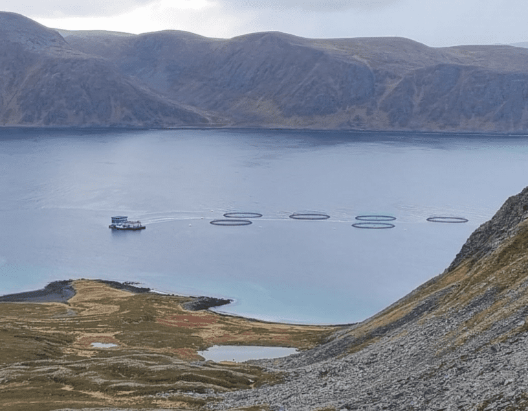 Lakserømming ved Nordkapp