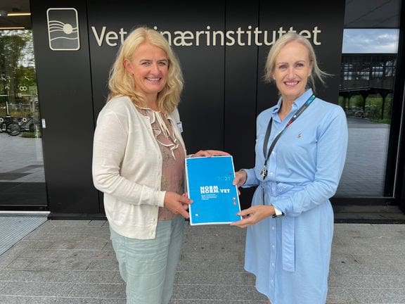 Antibiotikaforbruket var fem ganger høyere for landdyr enn for oppdrettsfisk i 2021