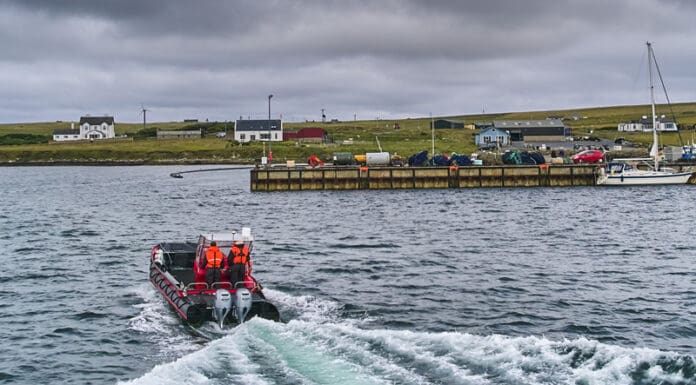 Slik ble Cooke og Scottish Sea Farms rammet da kommunikasjonskabel til Shetland ble kuttet