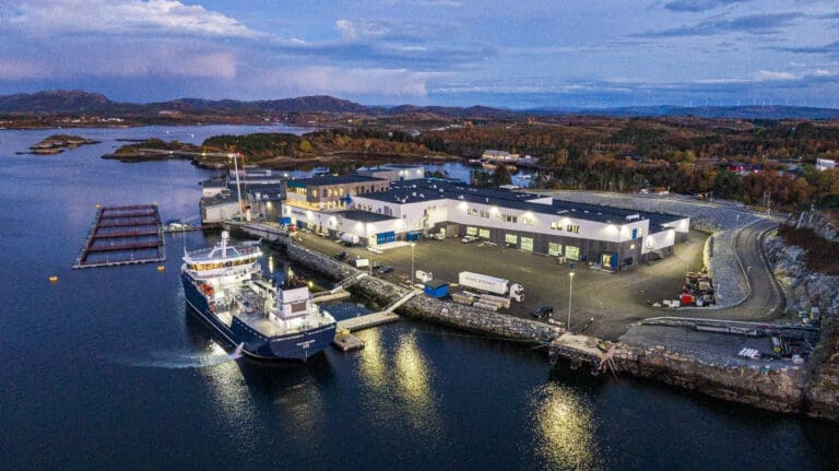 En svak krone blåste opp september-eksporten