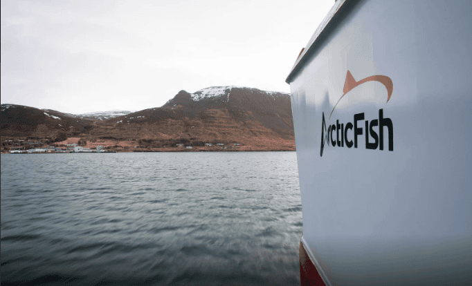 Mowi-datter på Island snudde driften
