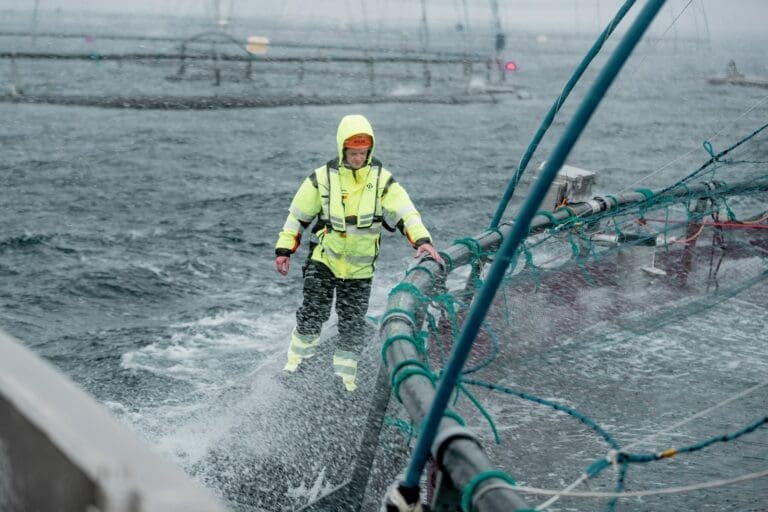 Måsøval skal drifte konsesjoner for Gåsø og BEWI
