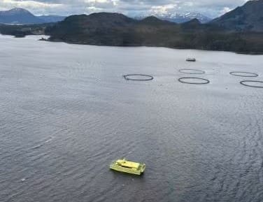 En oppdrettsmerd ble redningen for tre turister da båten tok inn vann