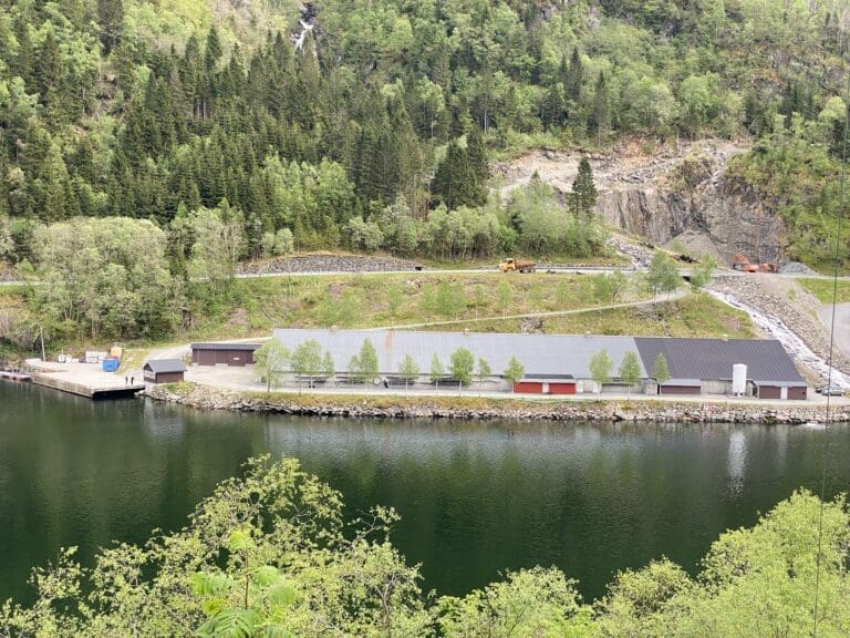 Hyen Fisk vil utvide for over 200 millioner kroner og femdoble produksjonen