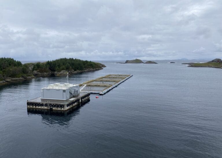 Landøy Fiskeoppdrett kan bli solgt for minst 430 millioner kroner