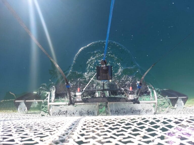 Tech-duo rengjør nøtene med vaskerobot på havmerden “Ocean Farm 1”