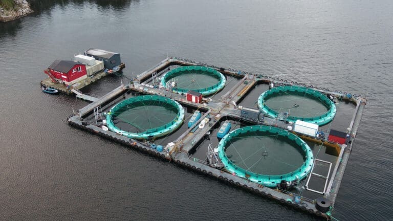 Rømmingshendelse fra lukket anlegg: – Fisken kom ut via avløpssystemet