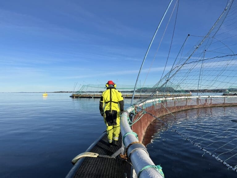 En bekymringsverdig eierskapsutvikling i havbruk