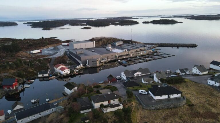 Fiskeridirektoratet vil bøtelegge oppdretteren for fiskerømming. Men det er uklart om fisk har forsvunnet