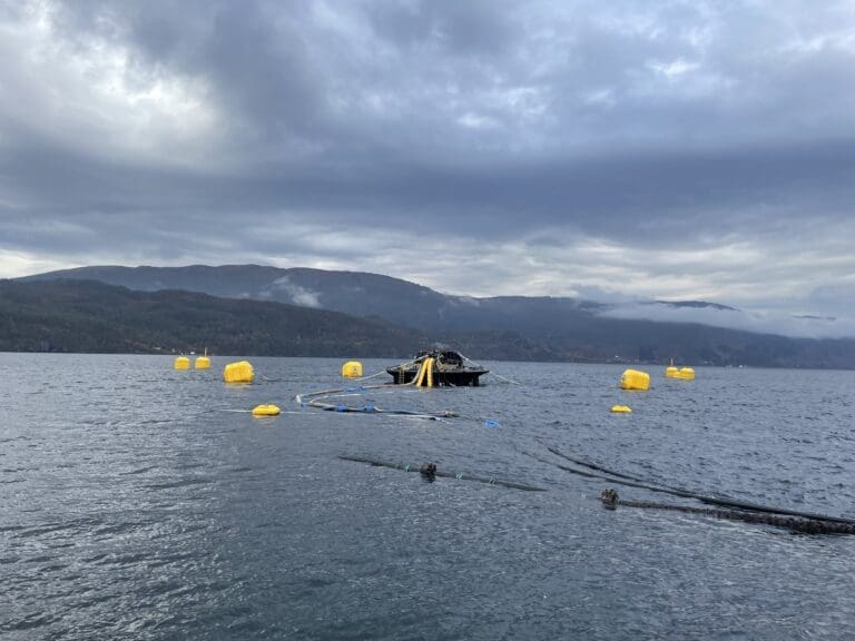 Eide vil etablere Watermoon i Nordfjord