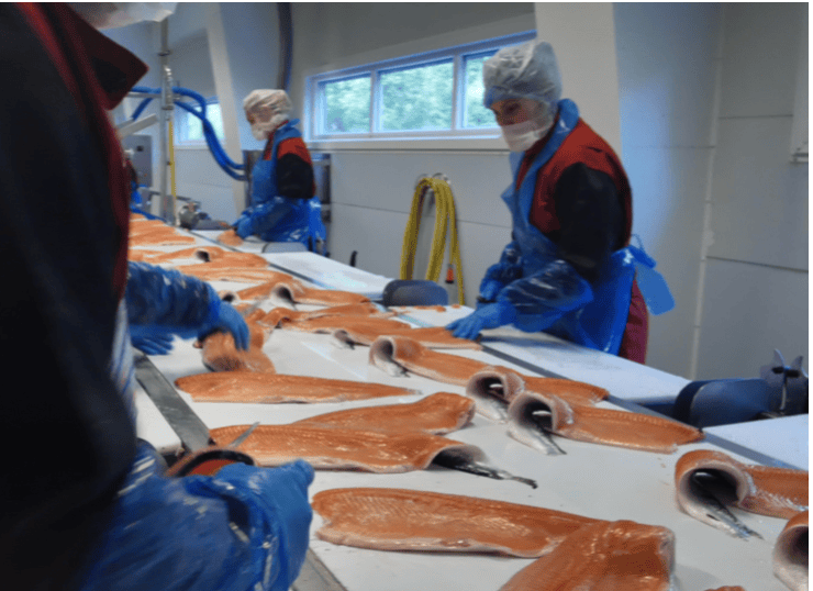 Villa Seafood utvidet produktporteføljen og traff godt i markedet