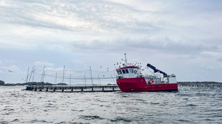 Mattilsynet satte Alsaker Fjordbruk under lupen: – Omfattende og ressurskrevende