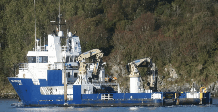 “FCS Vega” settes i drift igjen etter konkursen