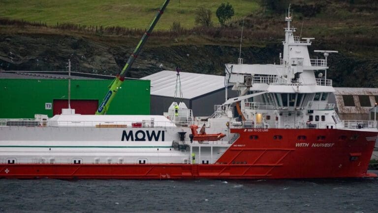 Mowi, SalMar og Bakkafrost drar lasset – og vil vokse mye mer enn konkurrentene i 2026