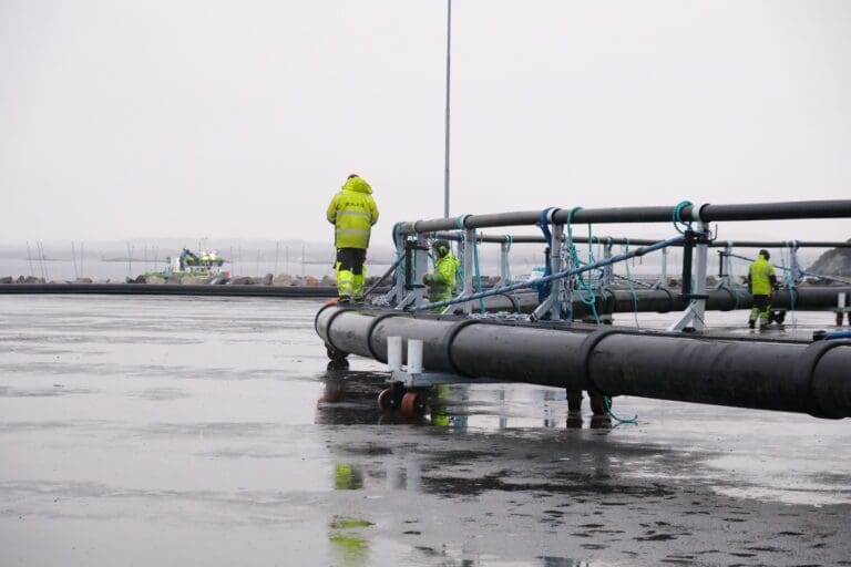 Frøya‑bedriftene skriker etter arbeidskraft: – Vi kunne ansatt 20 stykker i morgen