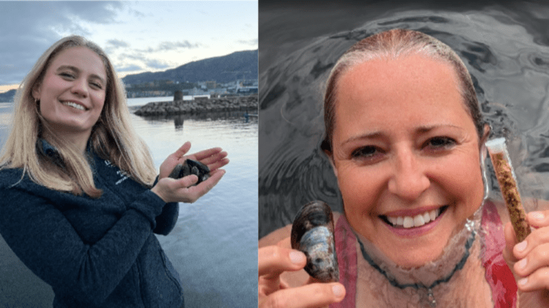 Sjø-åkrene som kan sikre norsk fôrproduksjon