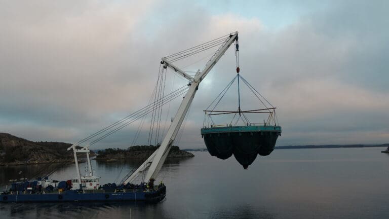 Hardingsmolt sikrer seg to nye GreenBag-merder