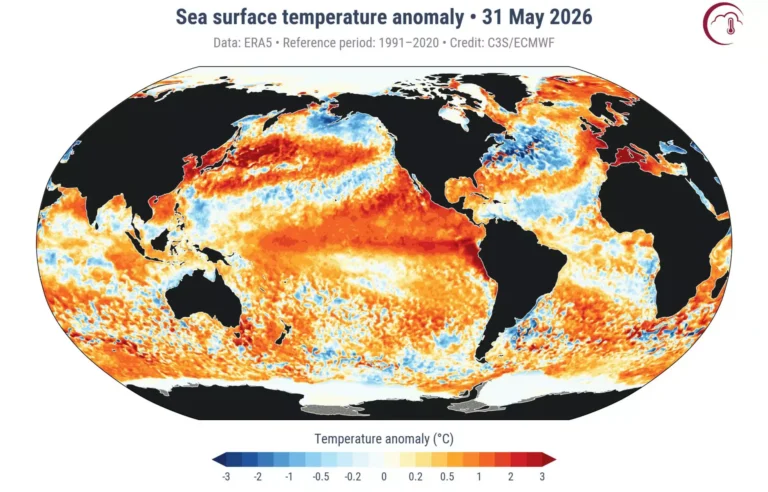 Meteorologene varsler «super El Niño» – kan sende fôrprisene til himmels